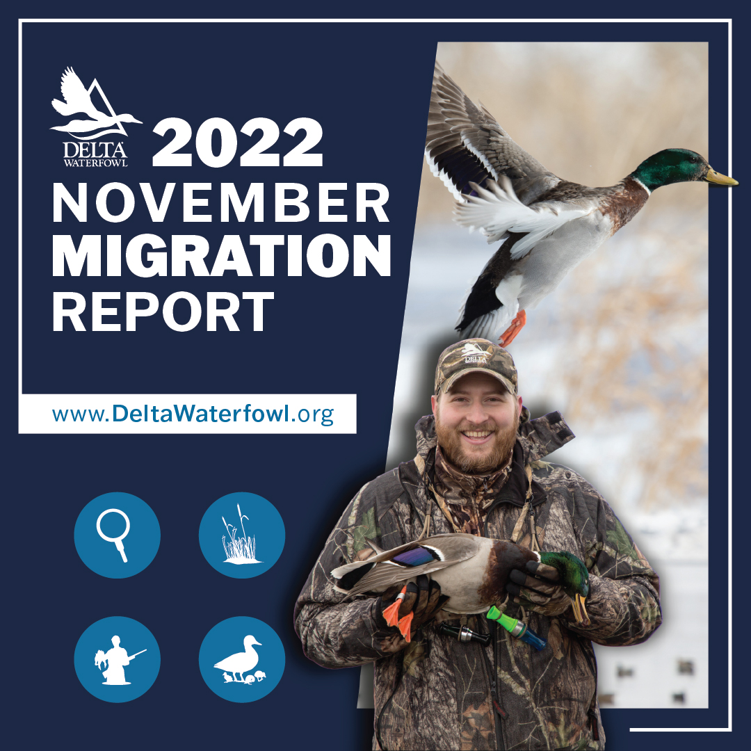 Delta Waterfowl Foundation - How are things looking for #DuckHunters ...
