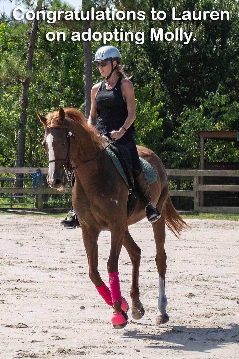 Congratulati... - ERAF - Equine Rescue and Adoption Foundation