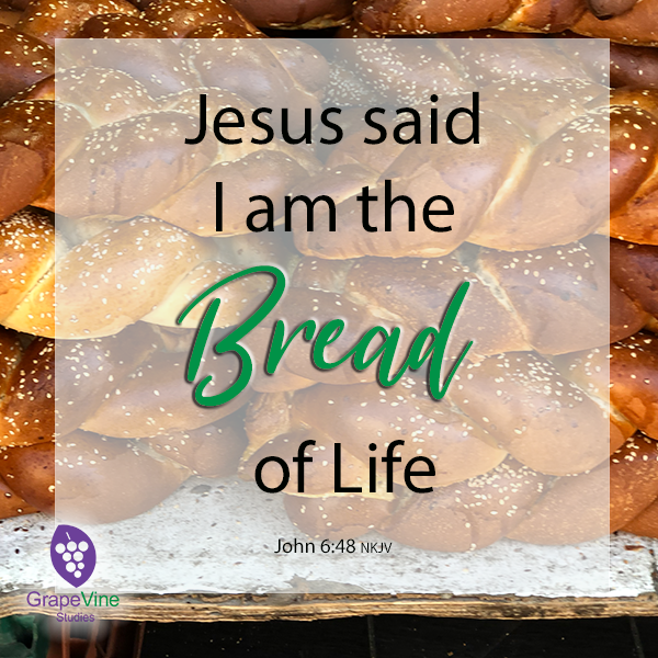 Grapevine - What is your favorite kind of bread? I am the bread of life ...