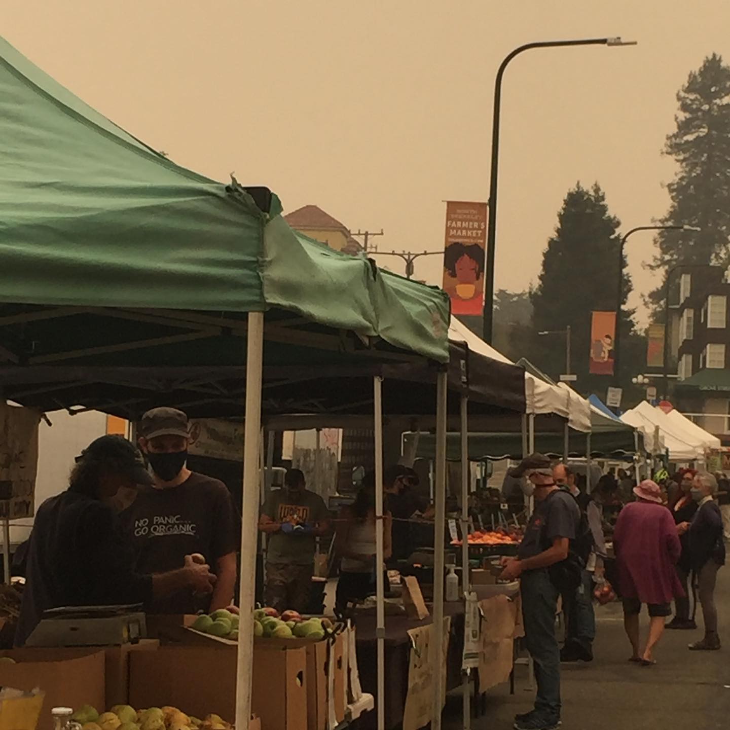 Ecology Center - The North Berkeley Farmers’ Market is OPEN! In the ...