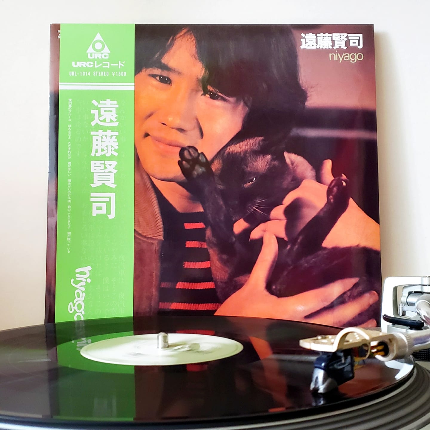 Tsune Kikuchi TWUNE 2017 LIVE DVD