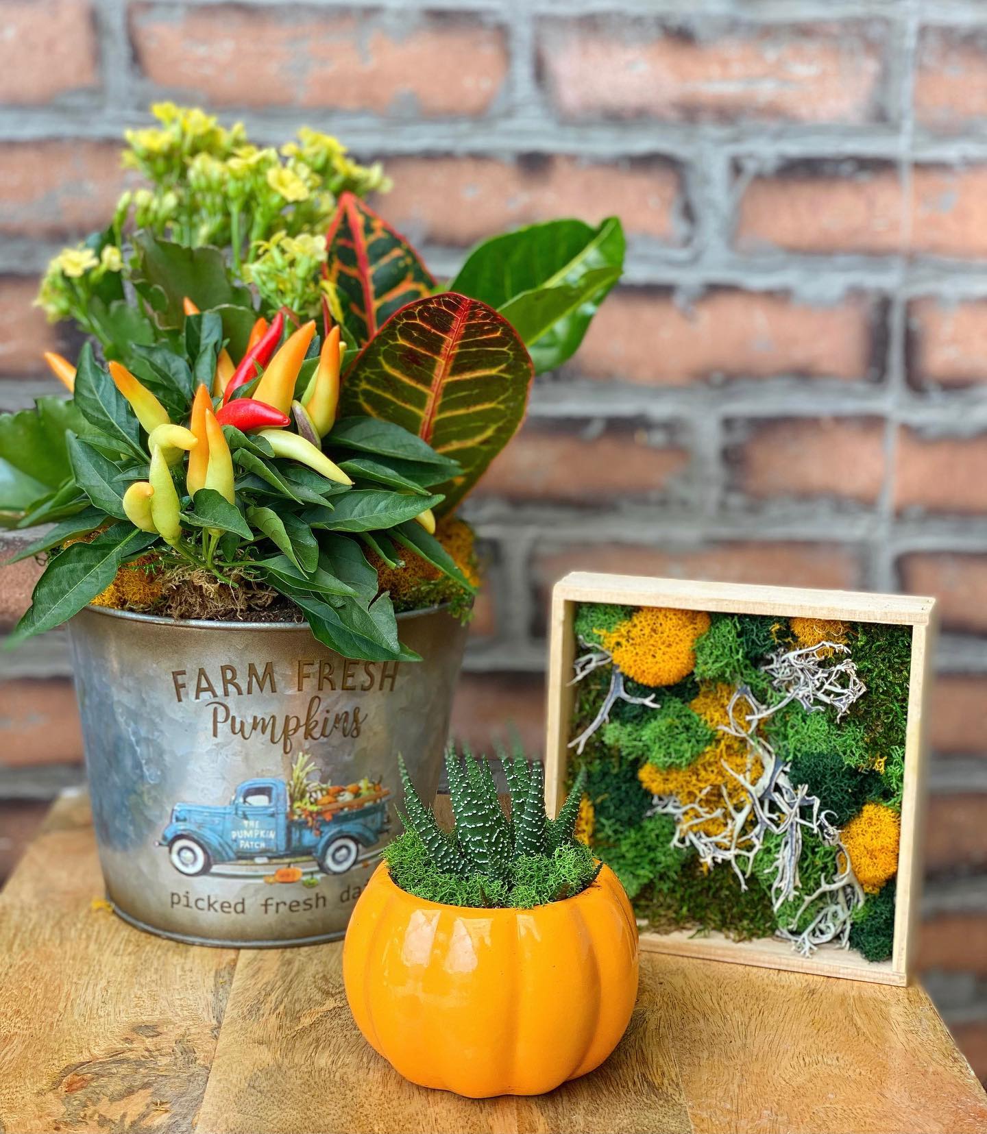 Autumn workshops! 🍂🌻 We... - The Watering Can Flower Market | Facebook