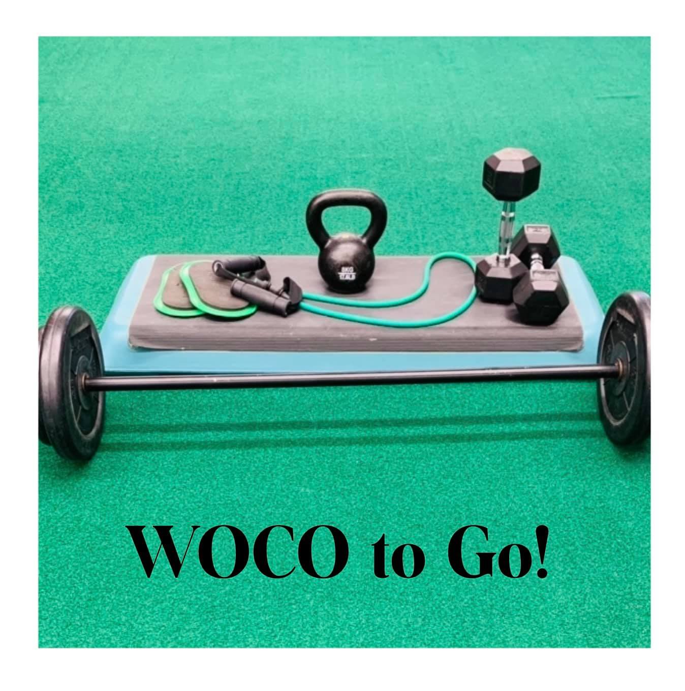 The Workout Company - We are so excited to bring you our newest program ...