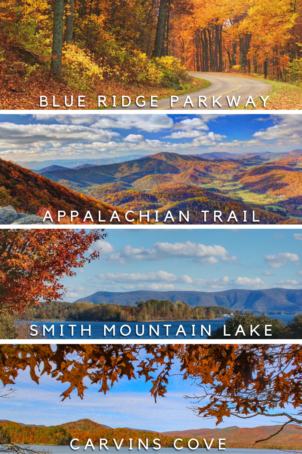 The Blue Ridge Parkway,... - Visit Virginia's Blue Ridge