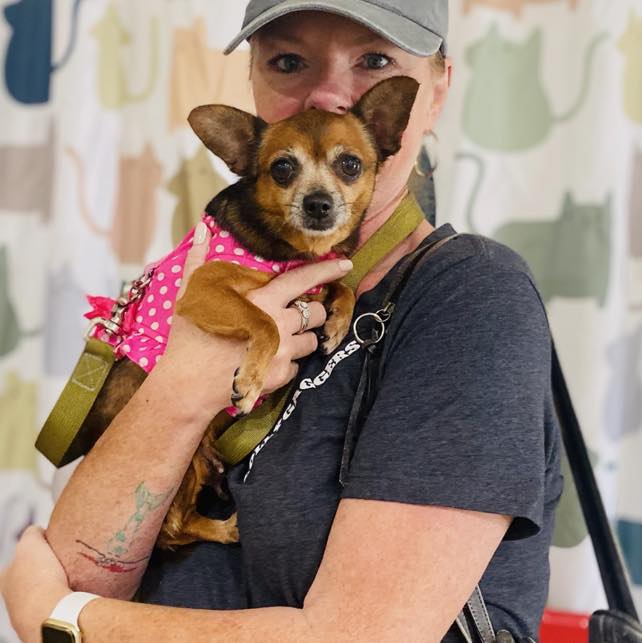 Chrissy, the very... - Humane Society of Highlands County | Facebook
