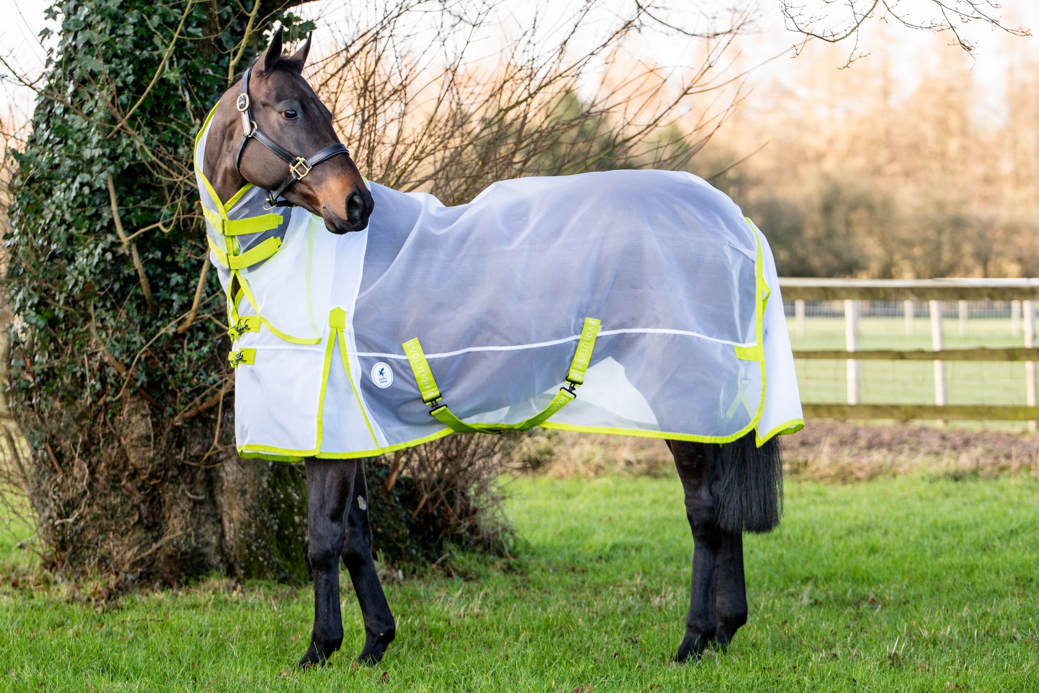 Derby - ? NEW PRODUCT ALERT! ? Ok, we