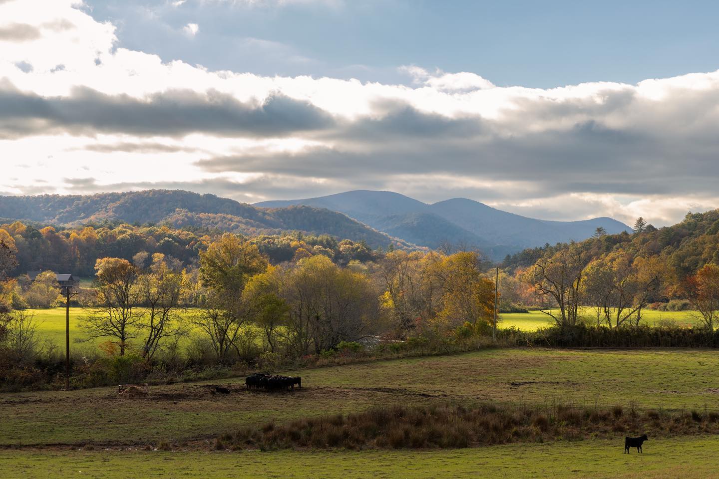 There's no time to be bored in a... - Visit Blue Ridge GA