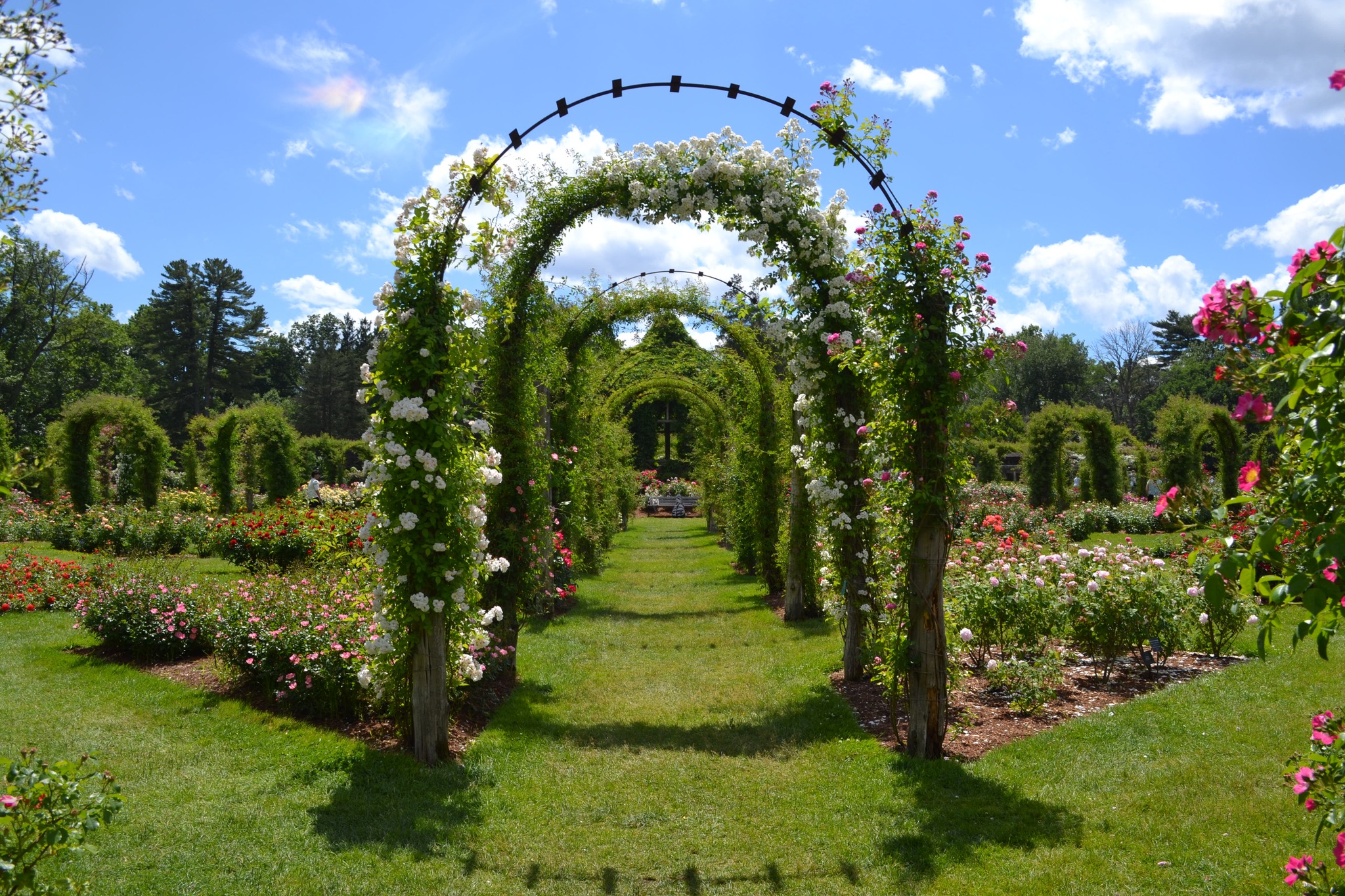 It's a beautiful weekend to... - Elizabeth Park, Hartford CT