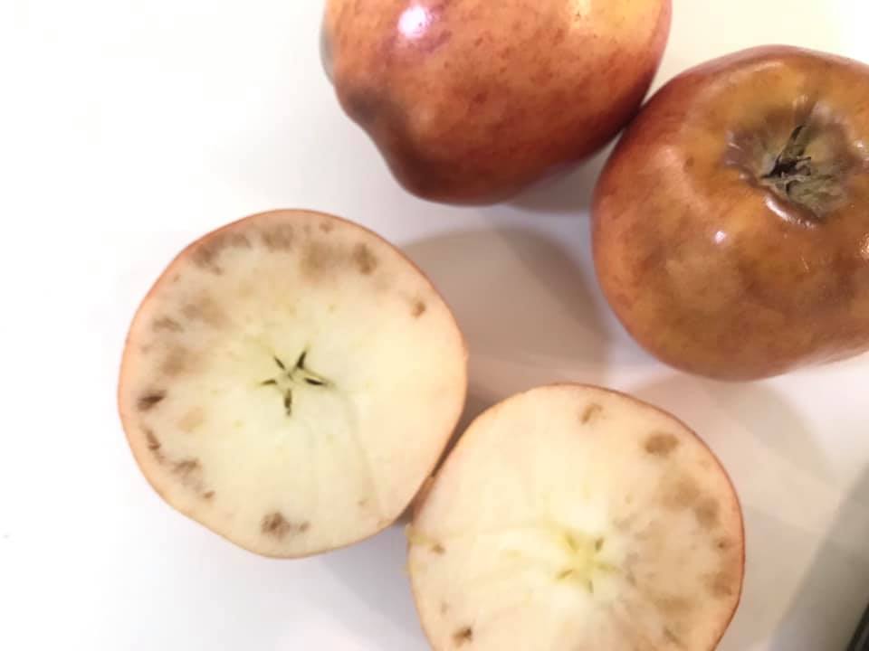 Is something wrong with apples this year and no one told us? We've