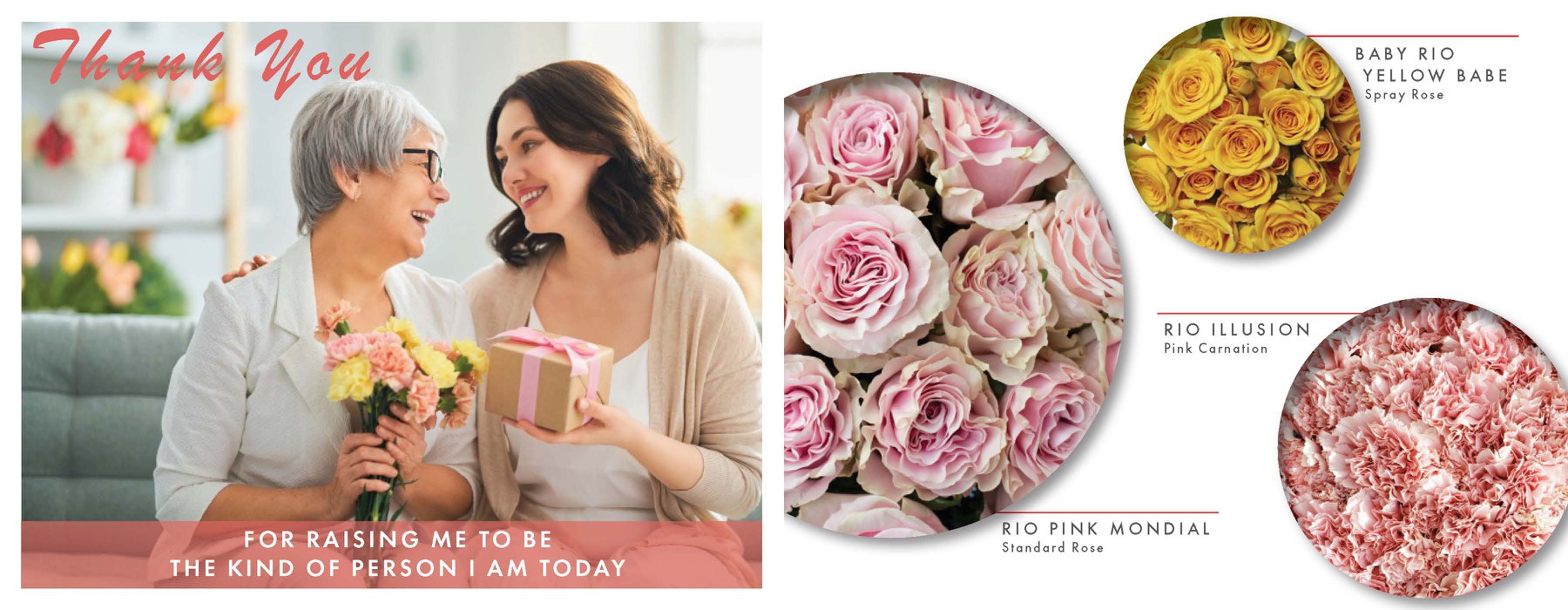 Rio Roses - This Mother's Day, let's remind our mother how...