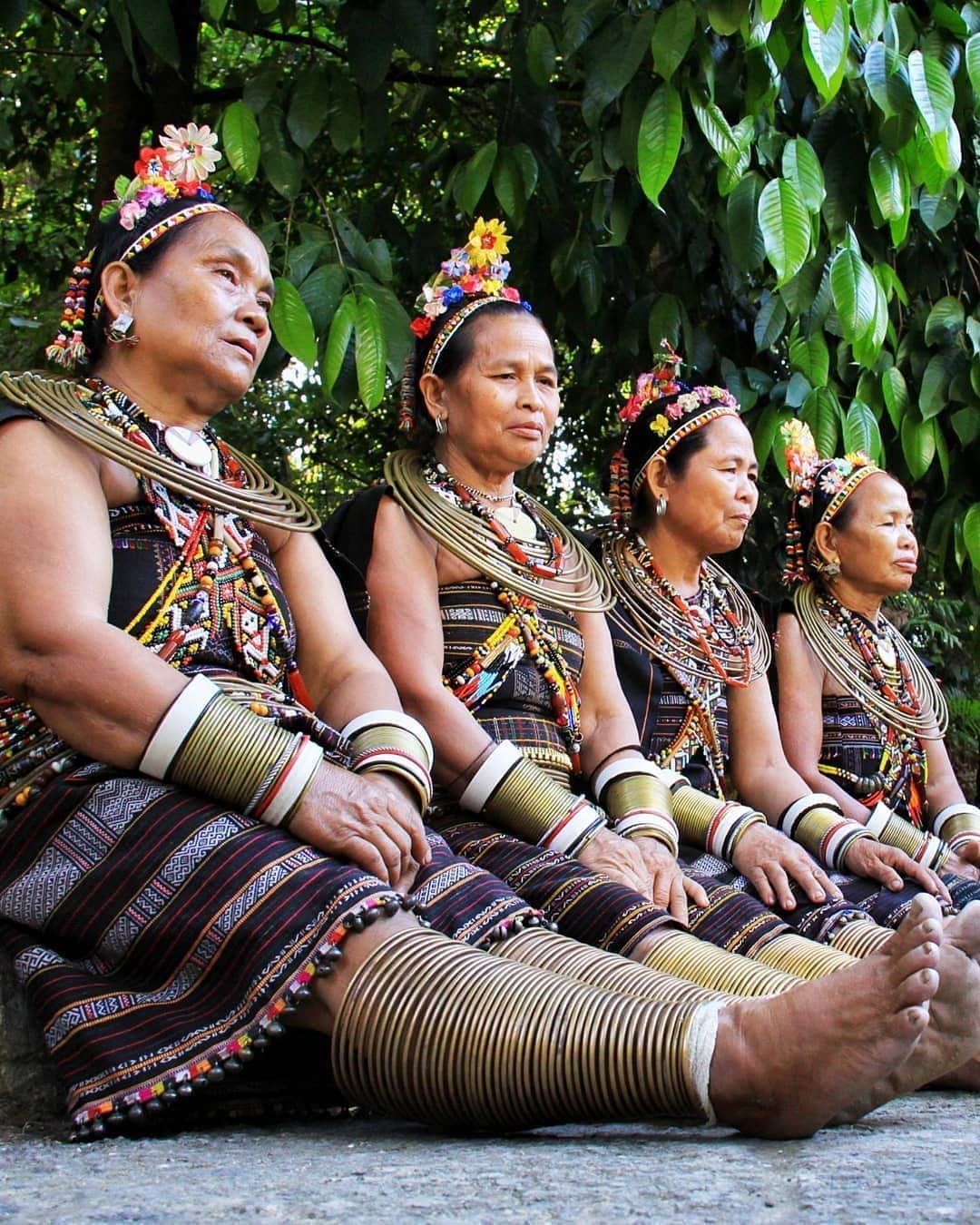 SABAH, Malaysian Borneo - Can't take our eyes off this stunning picture ...
