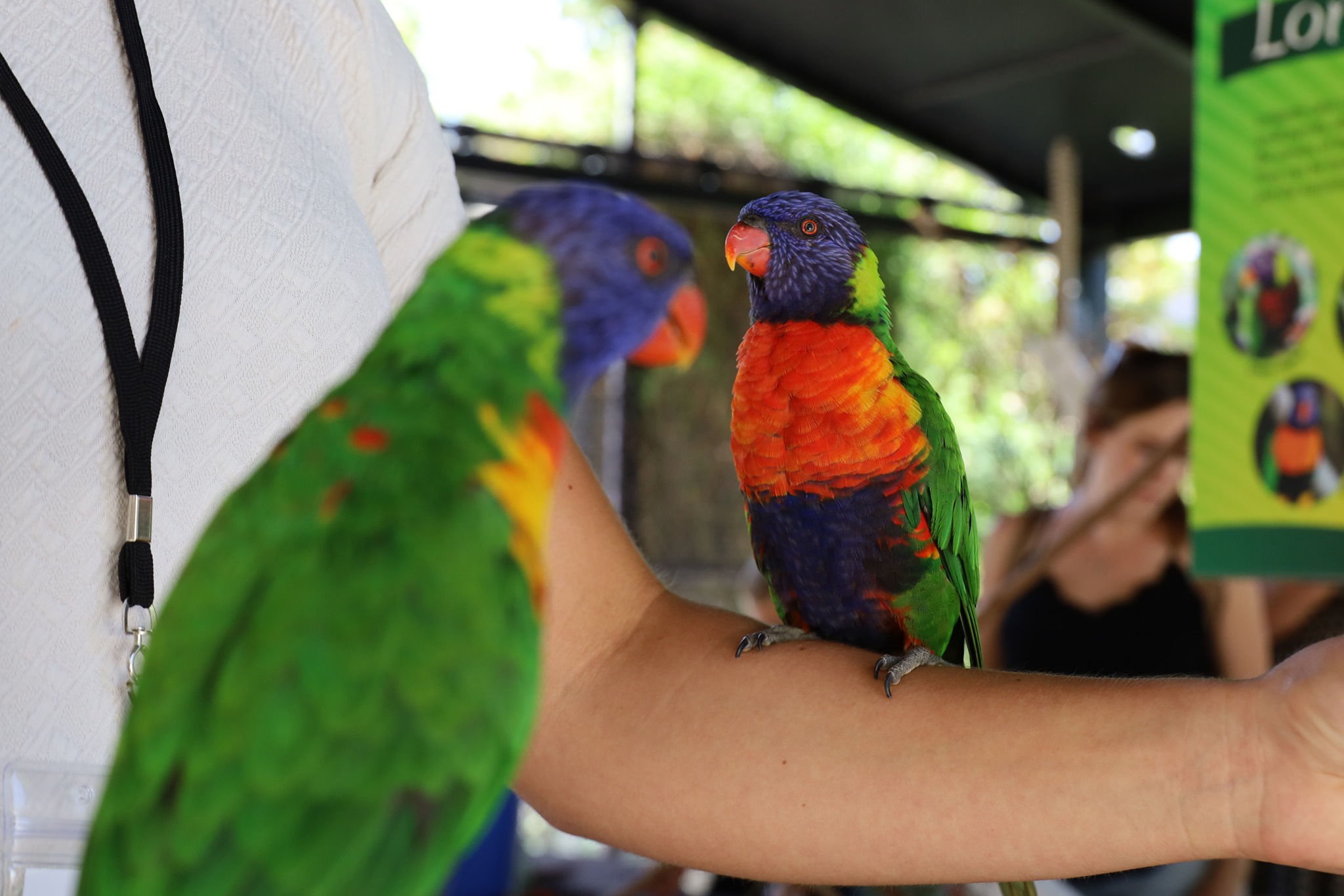 Make Some New Feathered Photo Inspiration