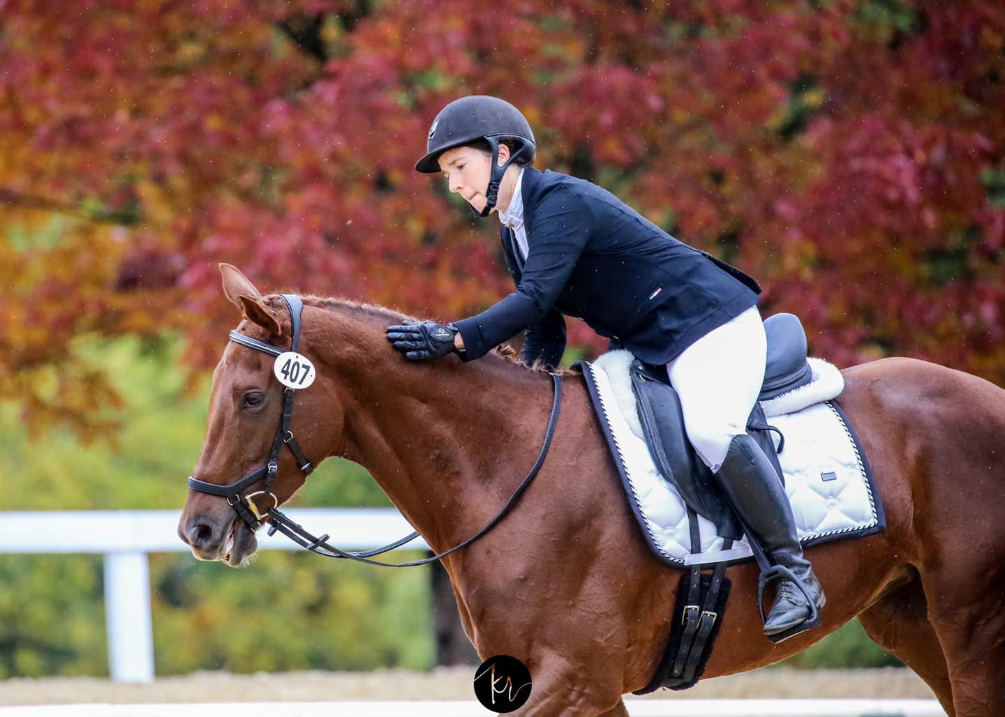 Susan Posner Dressage added a new... - Susan Posner Dressage