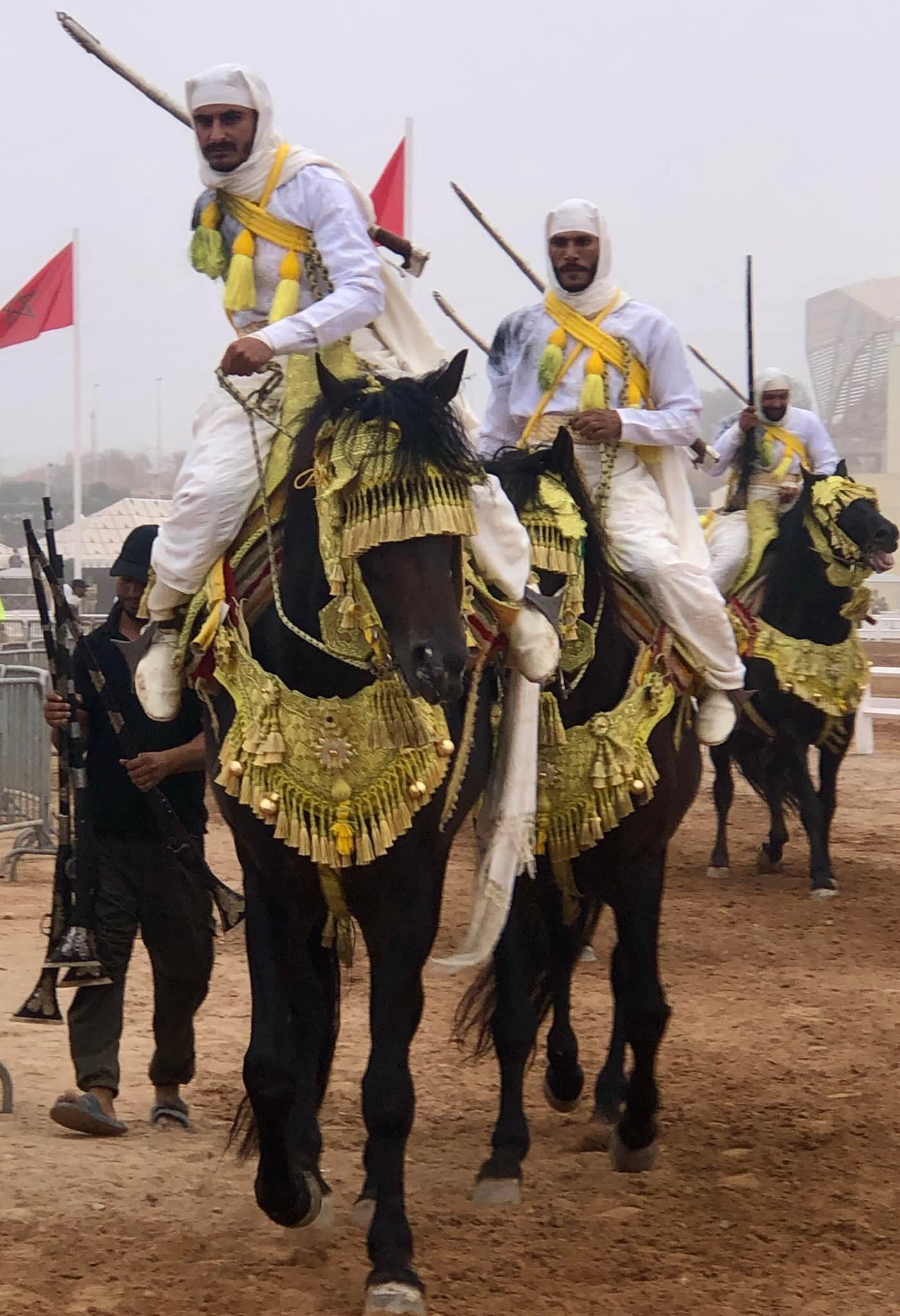 More on the T’bourida… The riders... - Arabian Horse World | Facebook