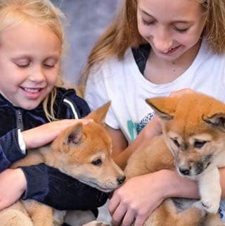 Featherdale Sydney Wildlife Park - WIN AN ENCOUNTER! 🐶 Tell your puppy ...