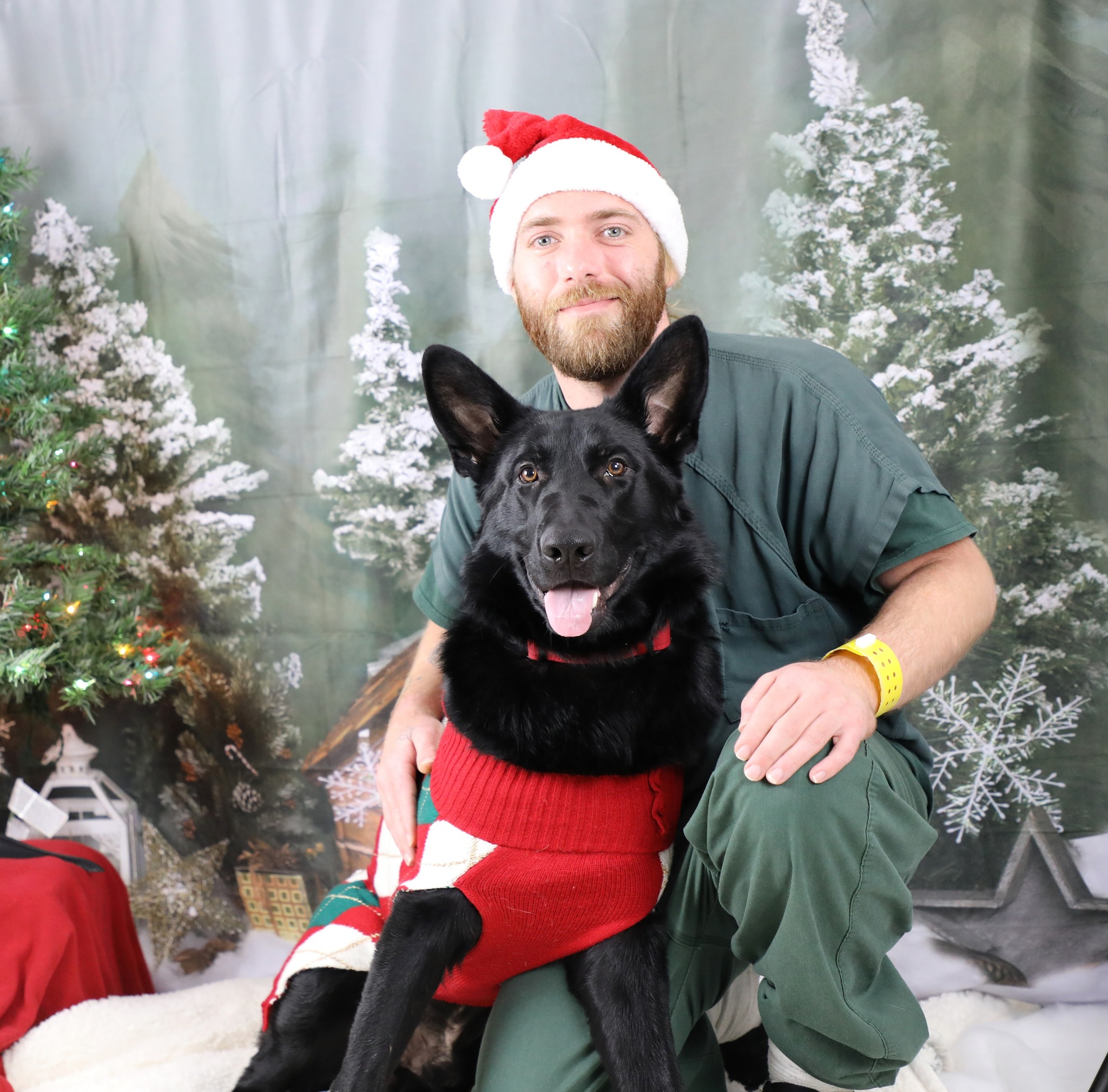 The Jail - ***PENDING ADOPTION*** Jail Dog Creed Sex: Male Breed ...