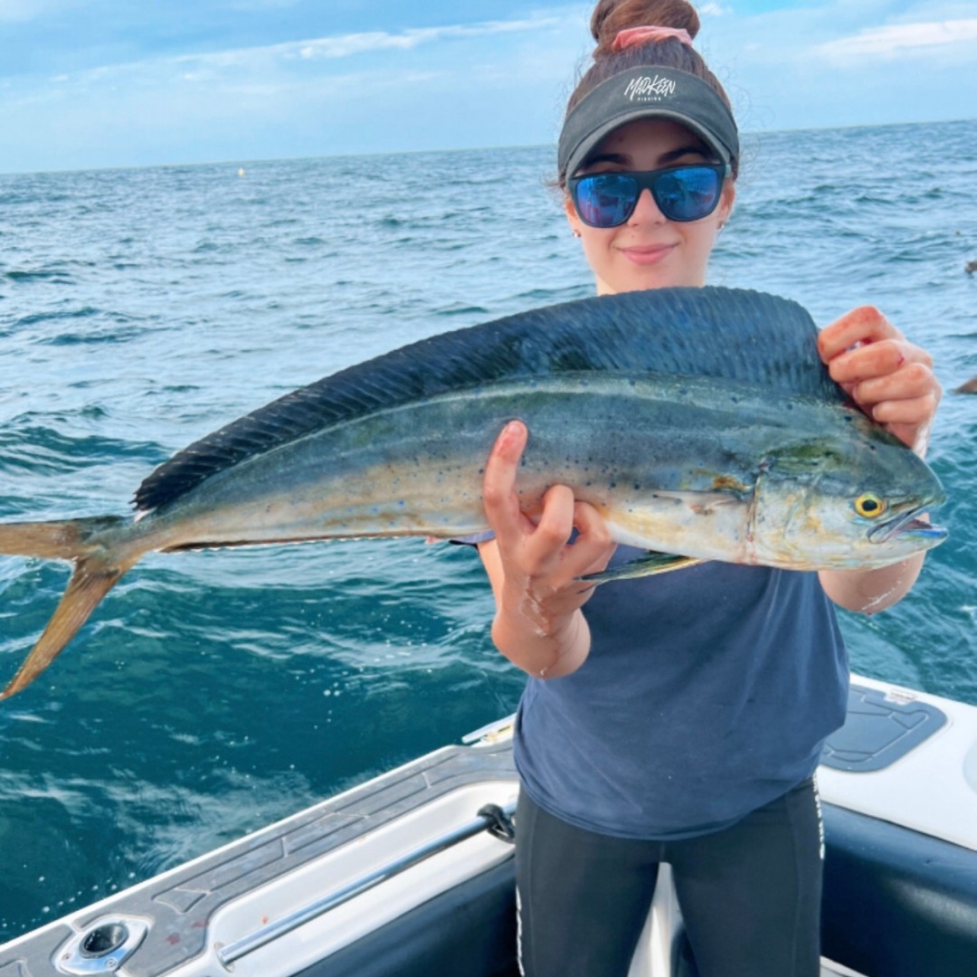 Fresh Mahi Mahi dolphin caught today $16-lb