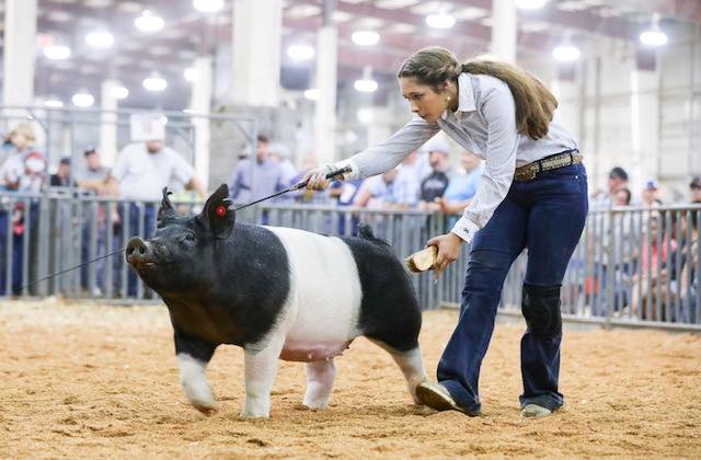 We are proud to... - National Junior Swine Association (NJSA)