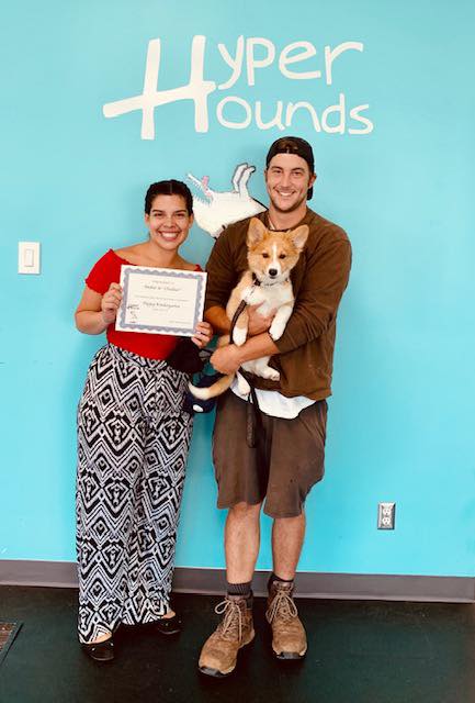 Congratulations to our Sunday... - Hyper Hounds Dog Training
