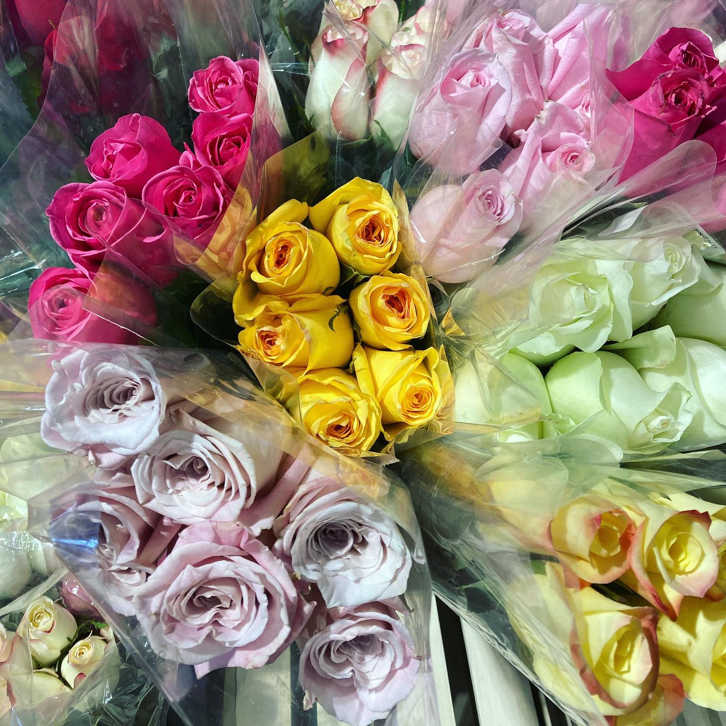 The roses have arrived just in time... - GreenStar Food Co+op
