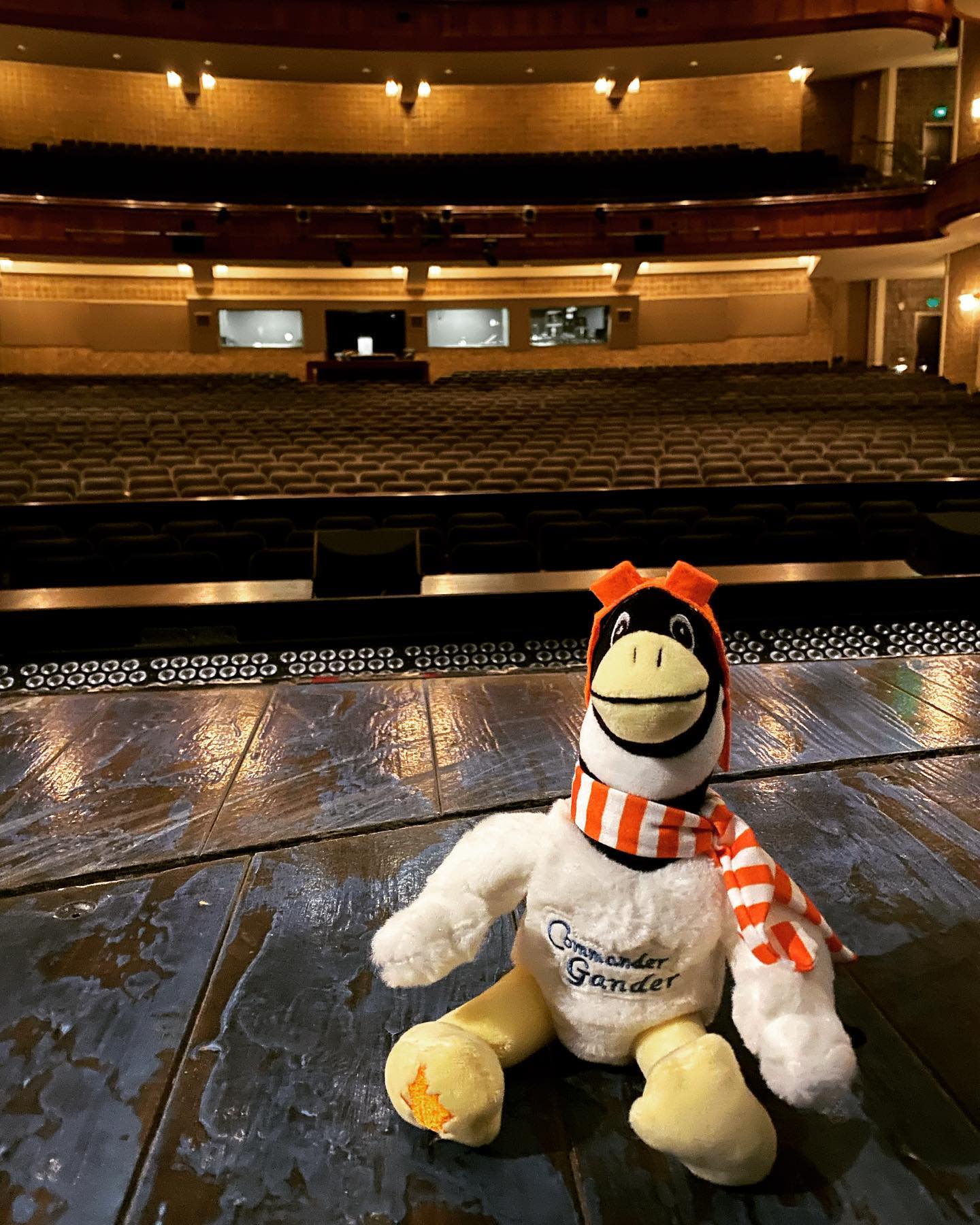 Peace Center - Commander Gander is all ready to welcome...