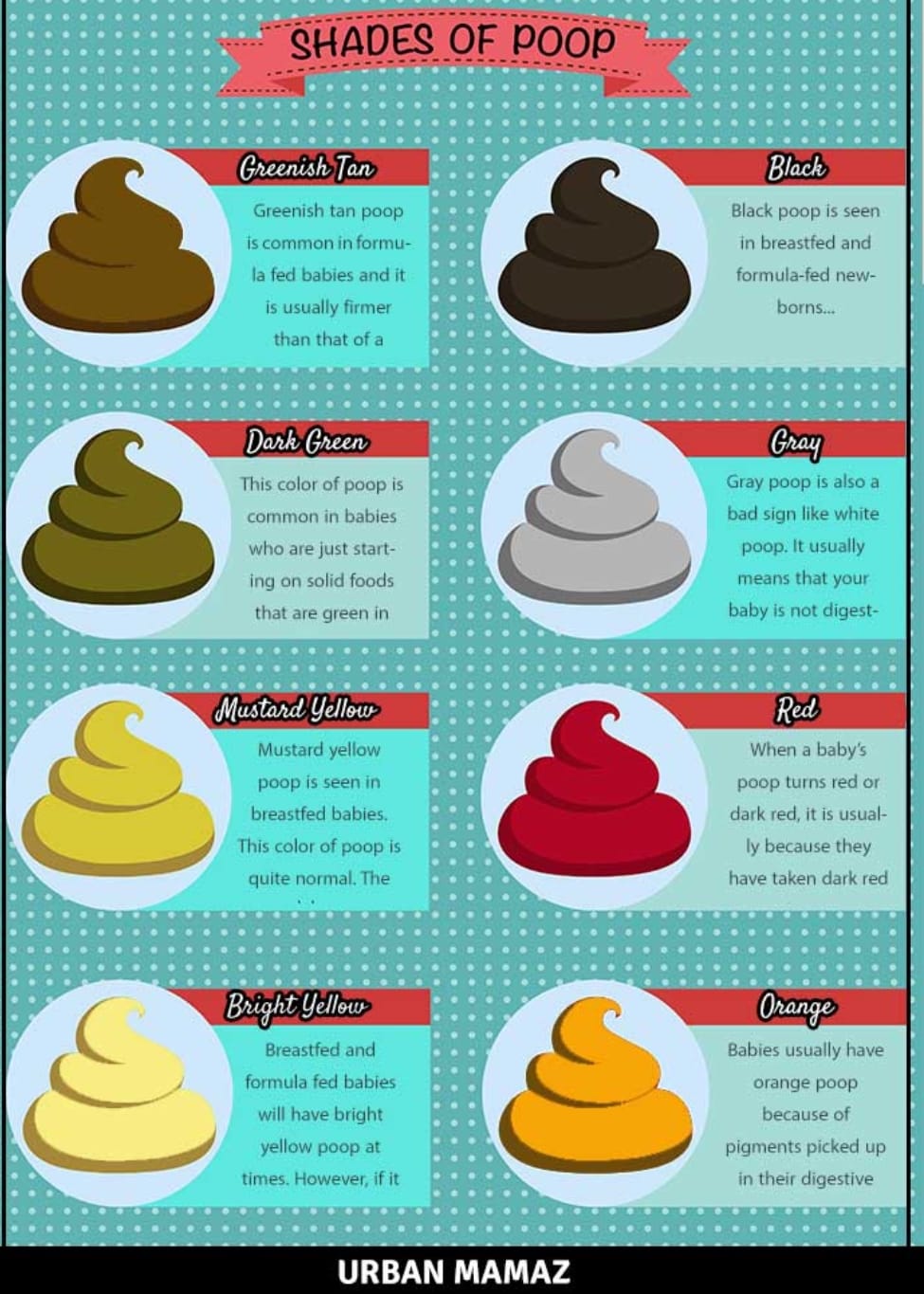 Mother Earth Cloth Diaper Service - What's the scoop on poop? The color ...
