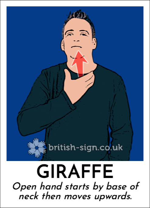 Today's #BritishSignLanguage sign... - British Sign Language | Facebook