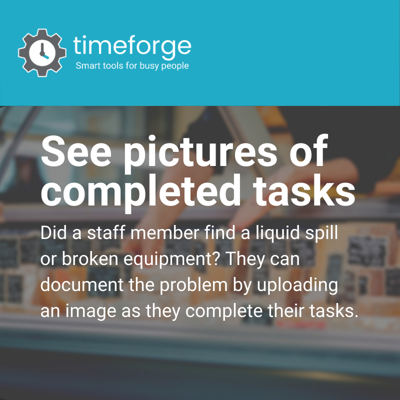 Timeforge Labor Management - A picture's worth a thousand words ...