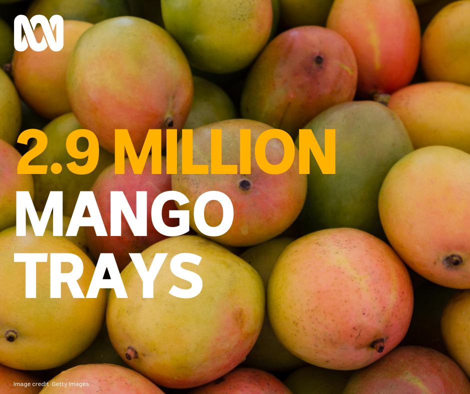 Jenko's Mangoes Packhouse | Noonamah NT