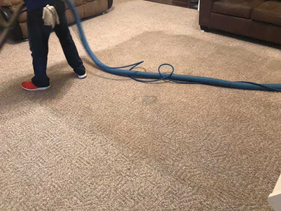 Take A Look About Lexington Rug Cleaning