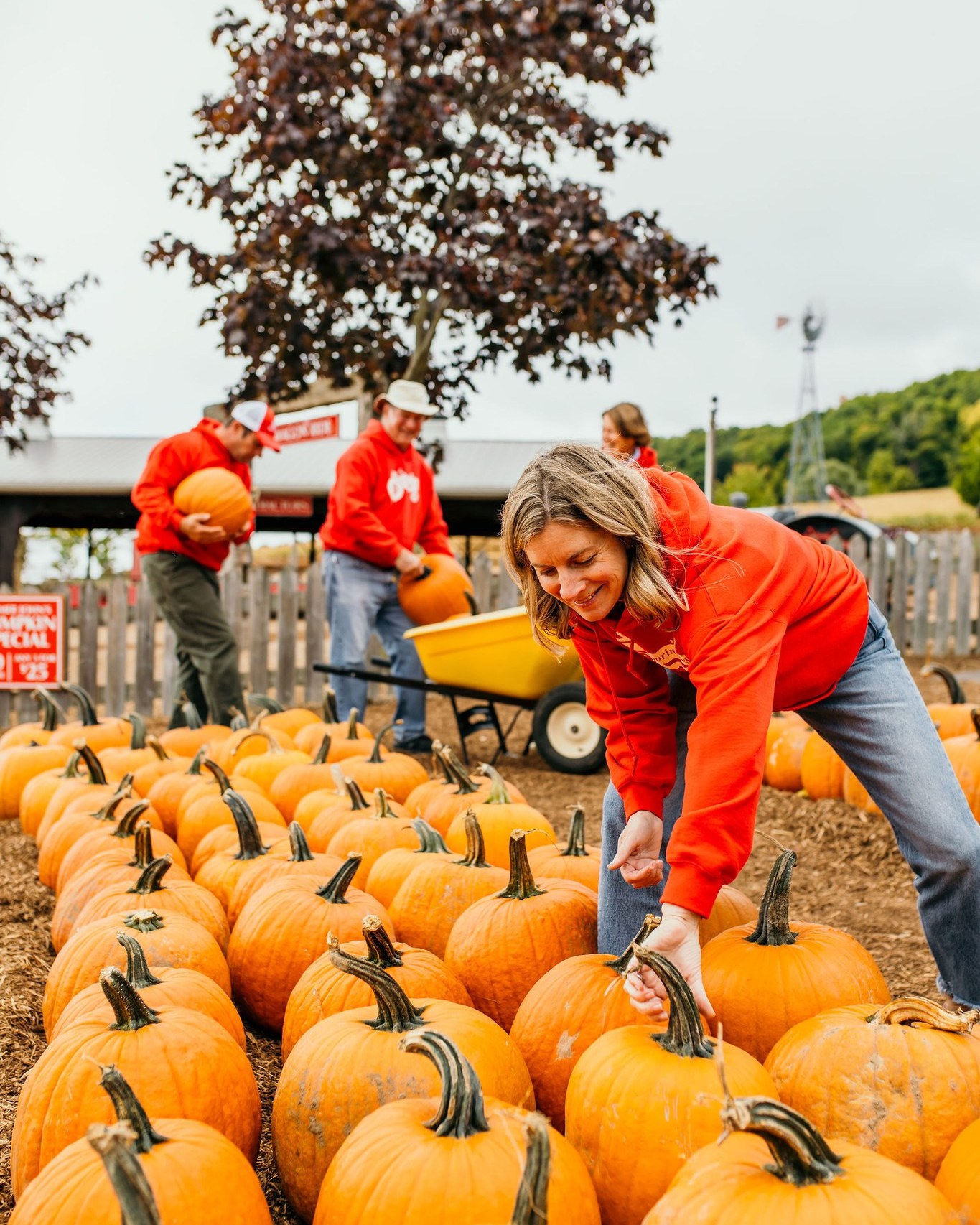 Happy Halloweekend 🎃 There’s just one... - Springridge Farm