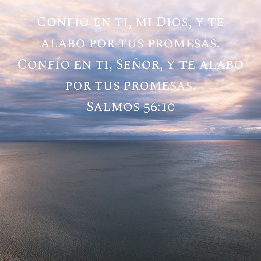 Forgiven - Confío en ti, mi Dios, y te alabo por tus promesas. Confío ...
