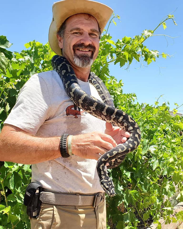 Wildman Phil - It's World Snake Day! Do you have a... | Facebook
