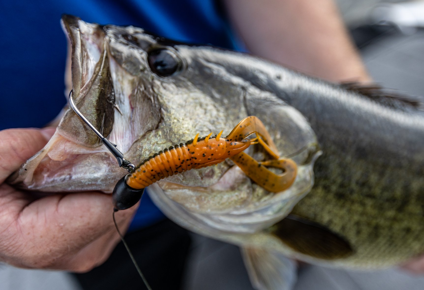 best craw bass lures 2021 Pressure Series - Wild Lava Crankbait Crawfish are a favorite delicacy of many freshwater gamefish and panfish species Finesse Jigs: Where small baits