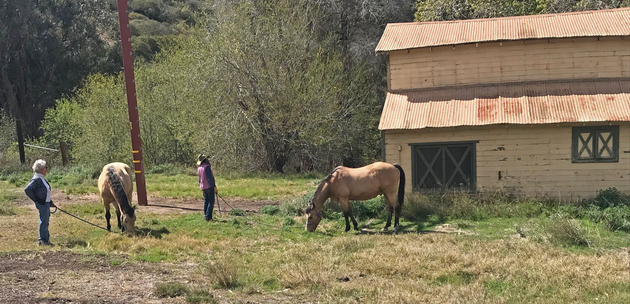 Catalina Island Saddle Club... - Catalina Island Saddle Club