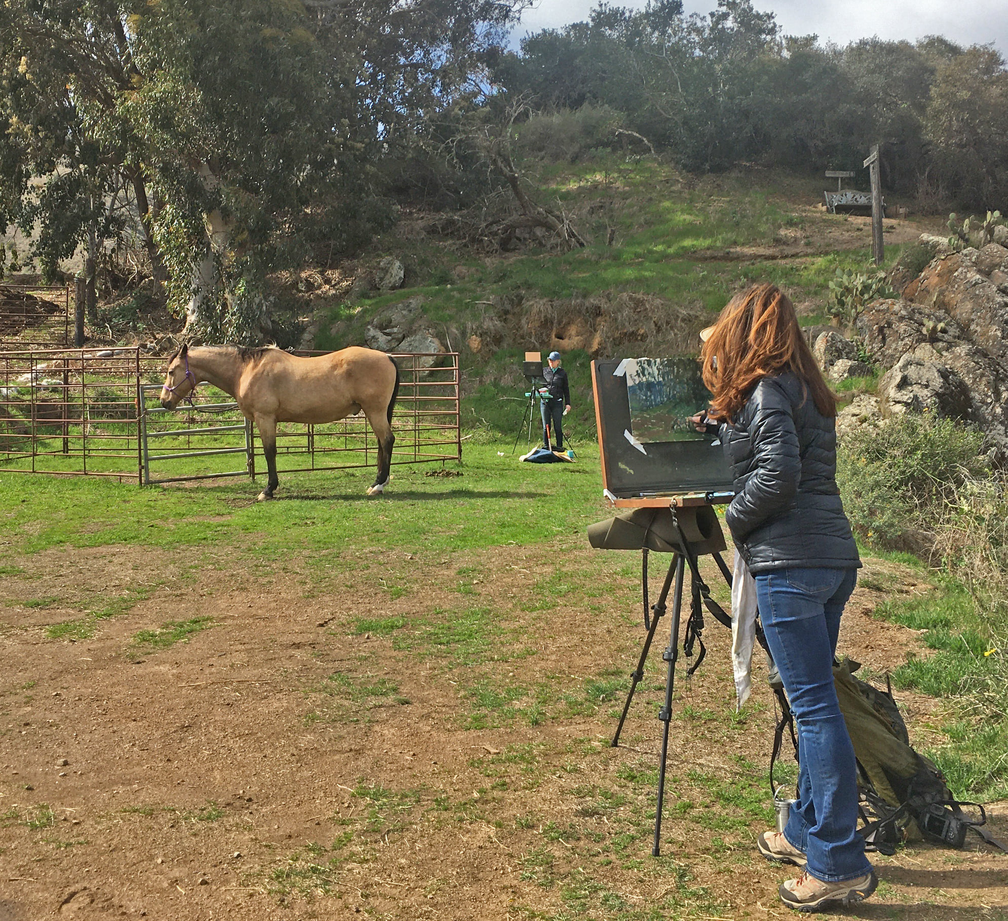 Catalina Island Saddle Club