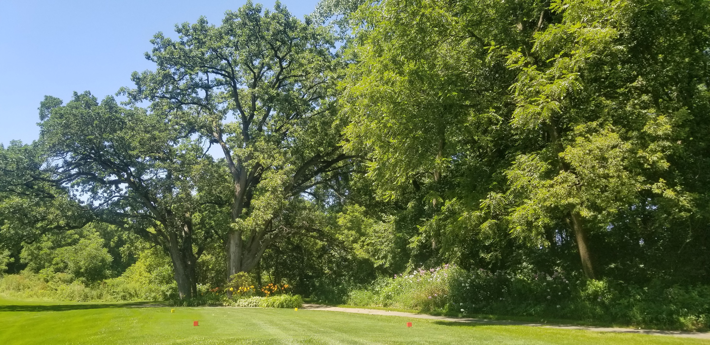 Silver Ridge Golf Course | Oregon IL