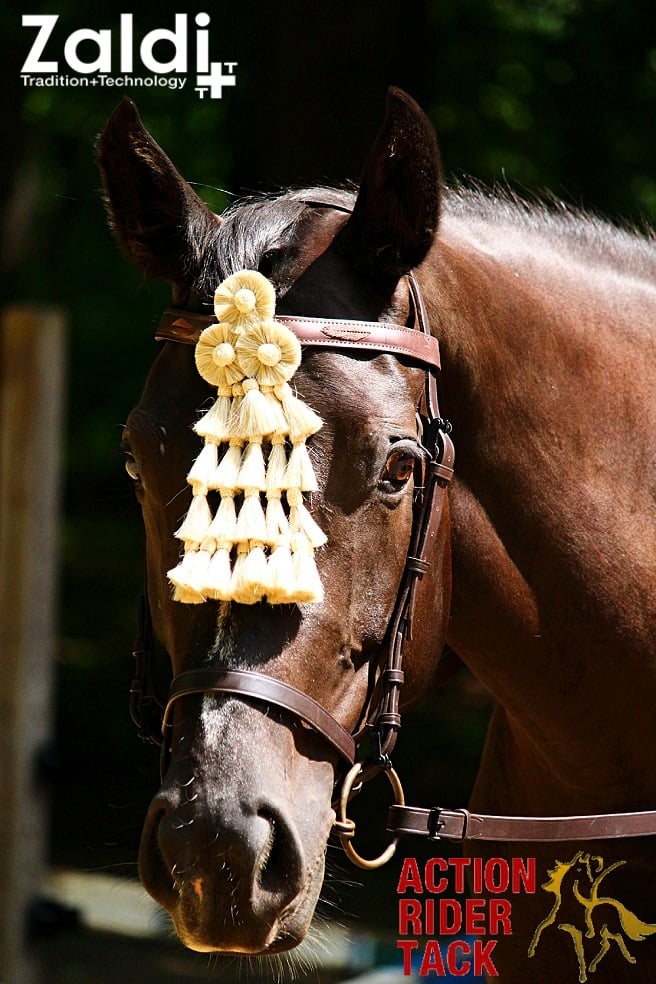 New! Zaldi Spanish Leather Vaquera... - Action Rider Tack | Facebook