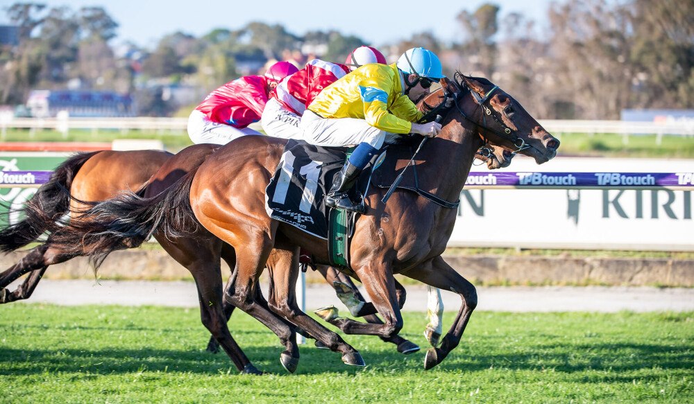 Perth Racing - Safety Fuse (Chris Parnham) Won R8 Furphy Handicap at ...
