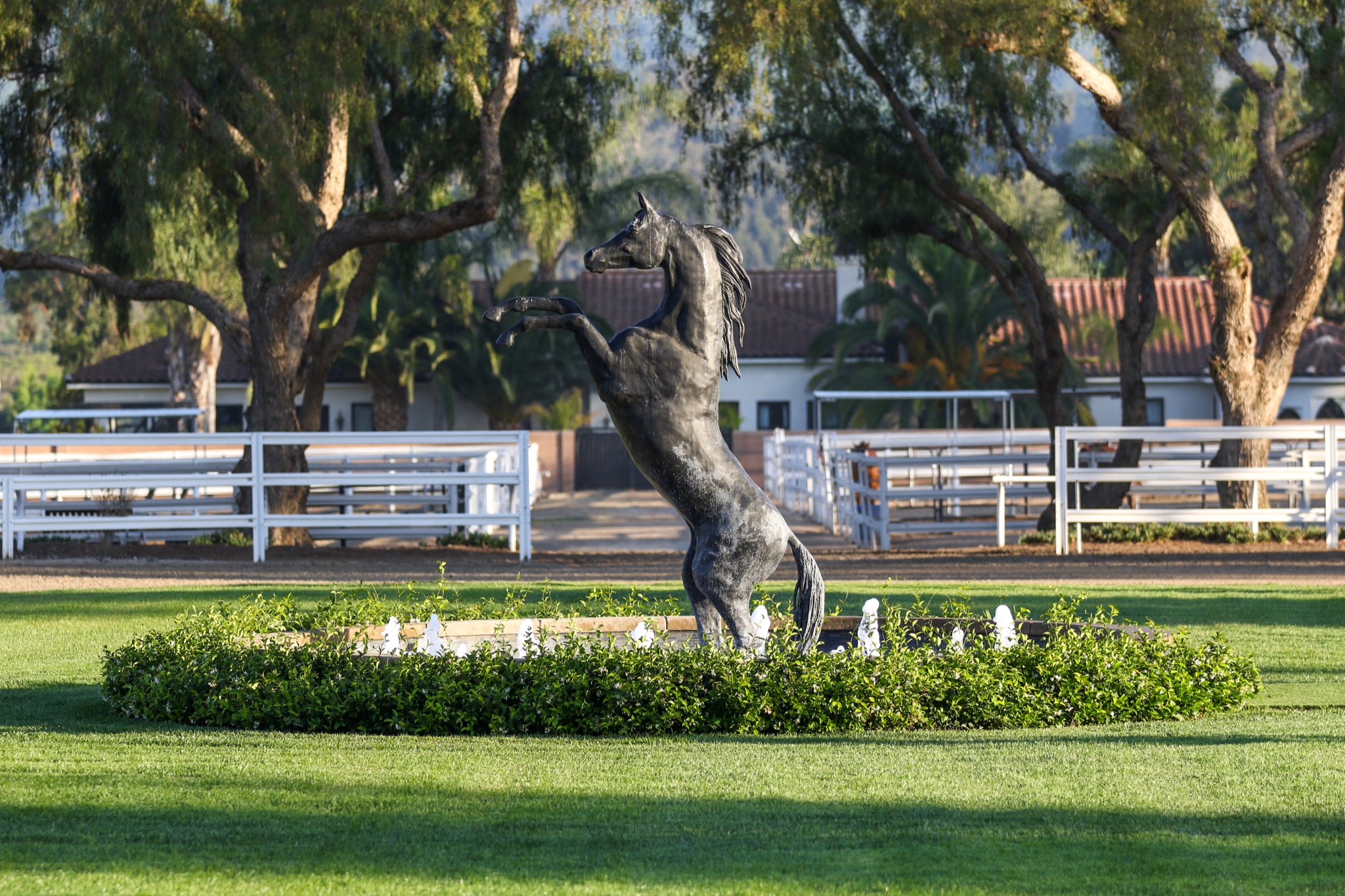 Southern... - Southern California Equestrian Center