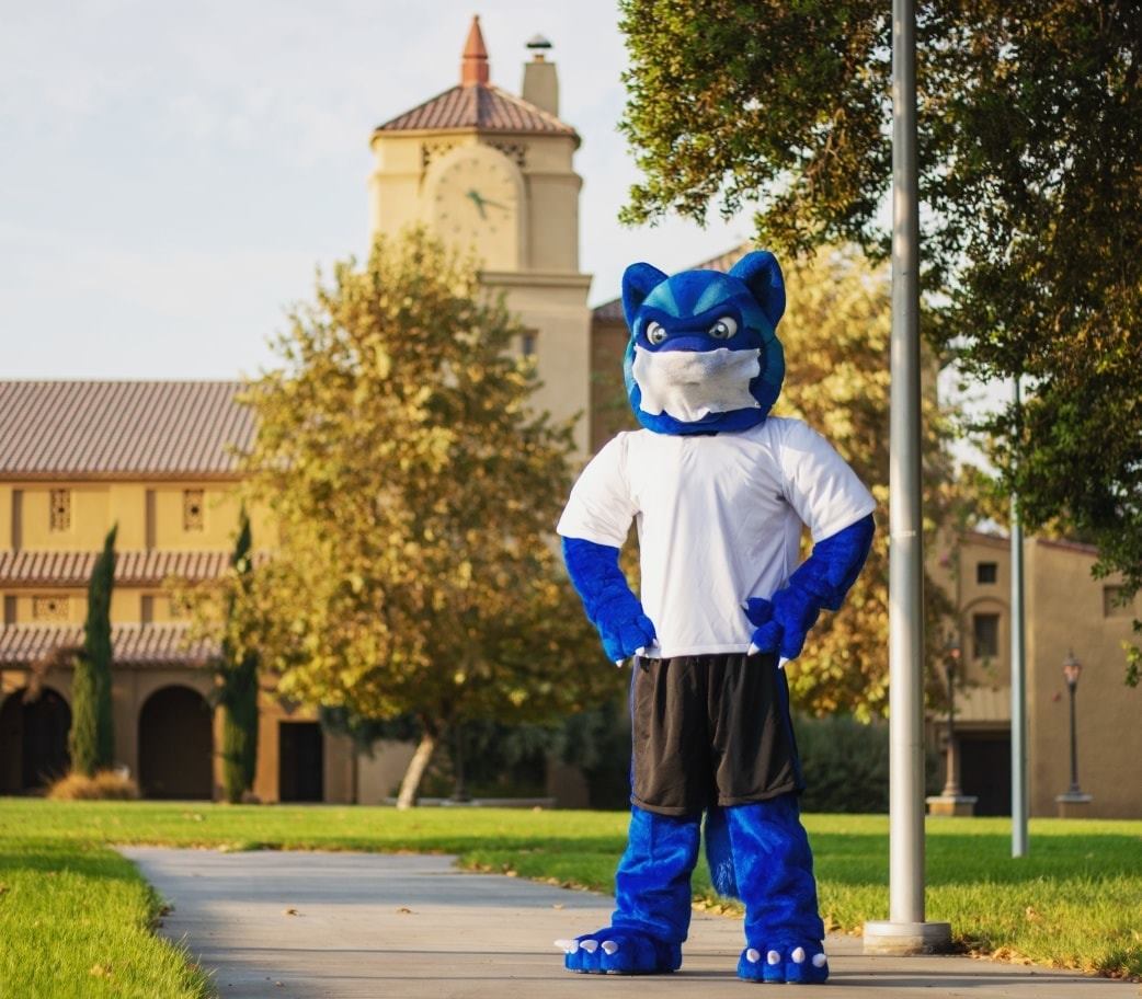 Blue the Wolverine is... - San Bernardino Valley College | Facebook