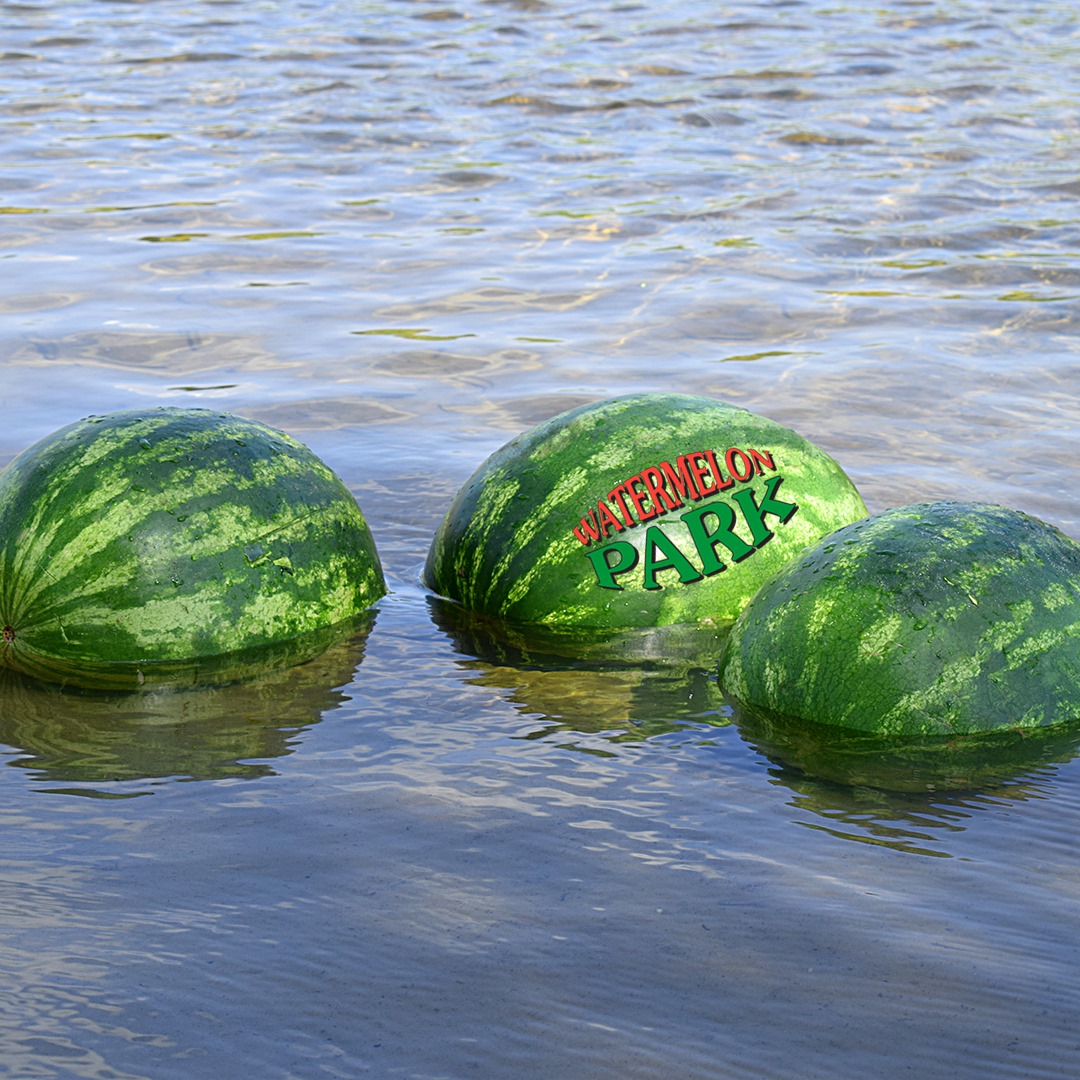 Watermelon Park RV Campground - 🍉 WATERMELON FACT🍉 Watermelon's ...