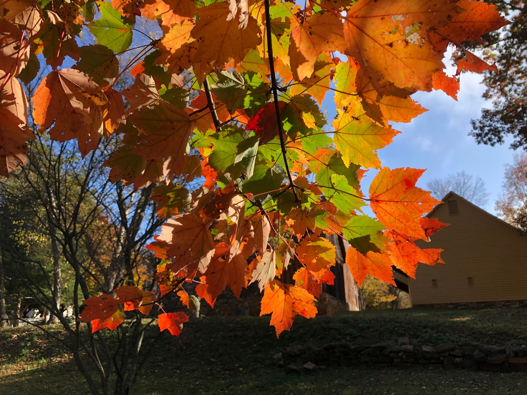 Fall is a great time of year... - Old Salem Museums & Gardens
