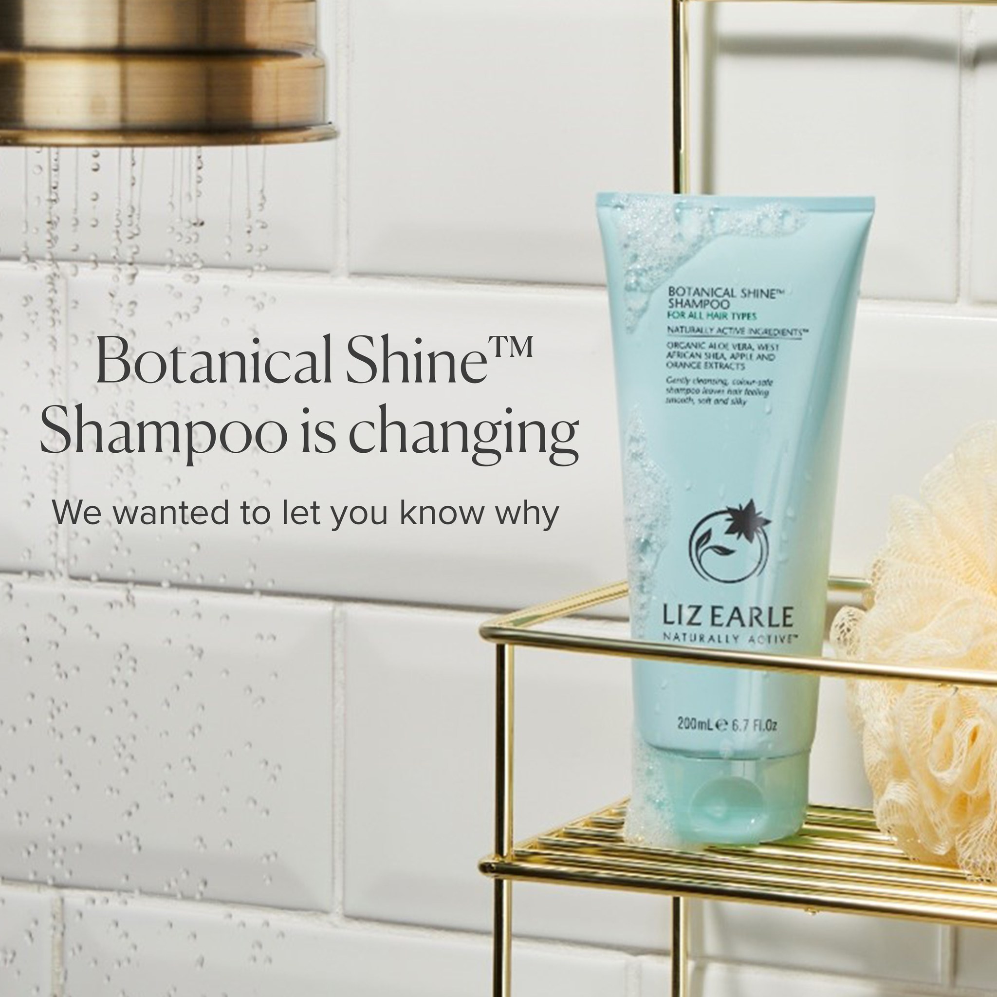 Ultra Sheen Discontinued: What’s Happening and Alternatives