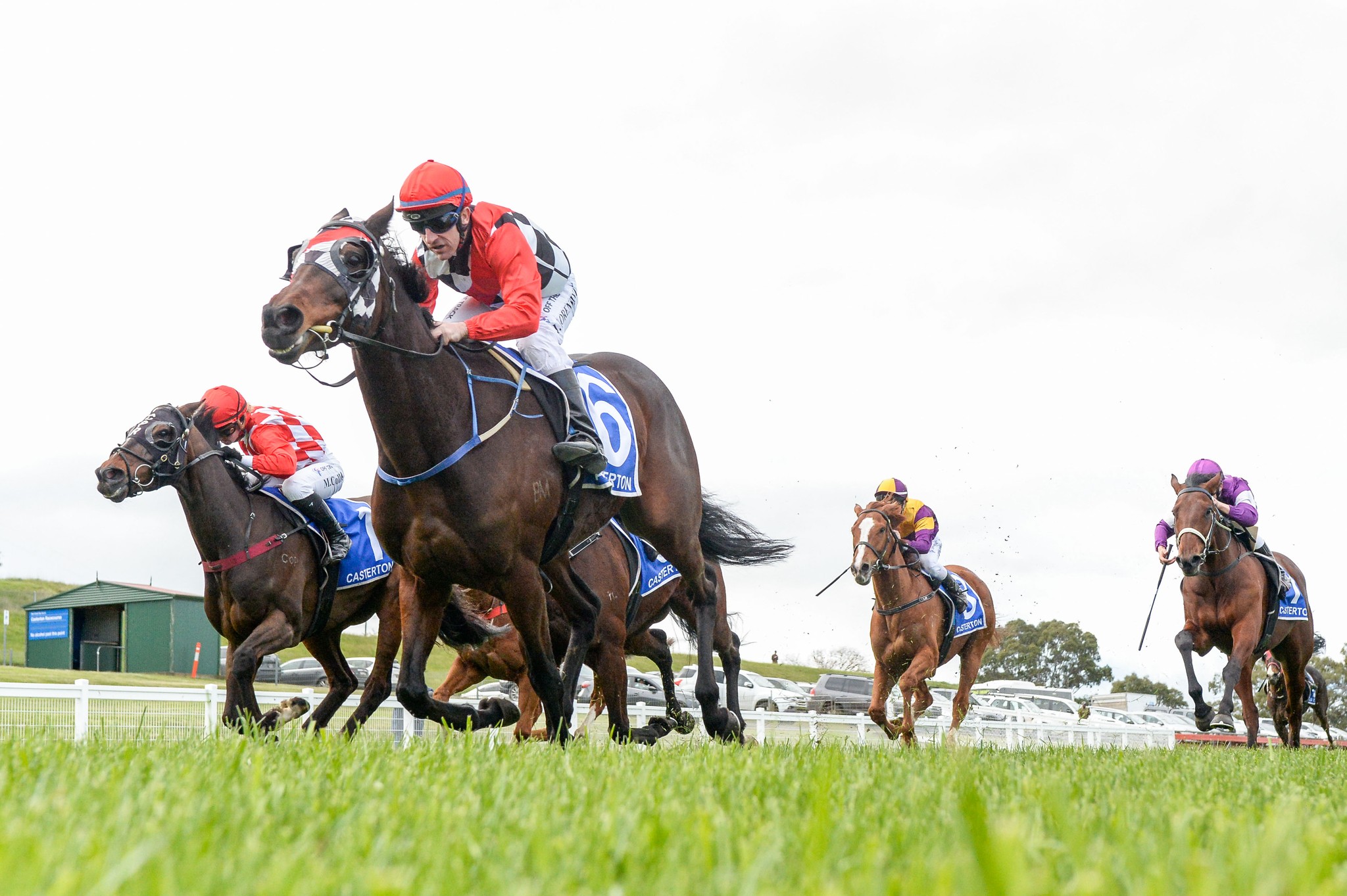 Racing Victoria - All smiles for connections of Mulga Lil...