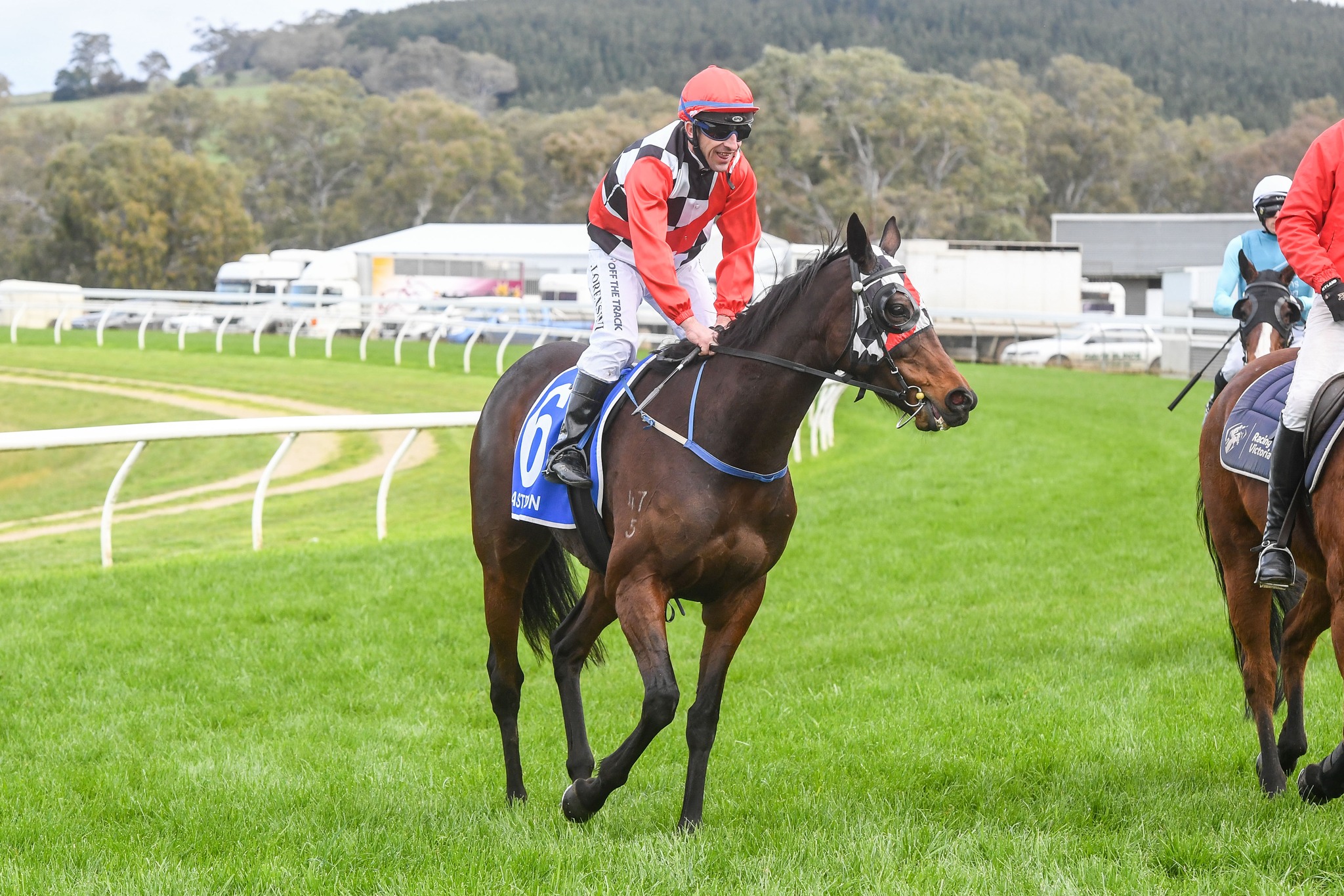 Racing Victoria - All smiles for connections of Mulga Lil...