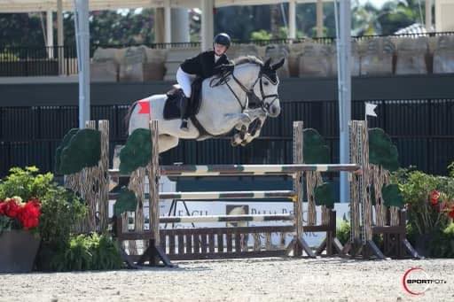 WEF, WEC and HITS Community NO HORSES | **Show Jumping Course Design ...