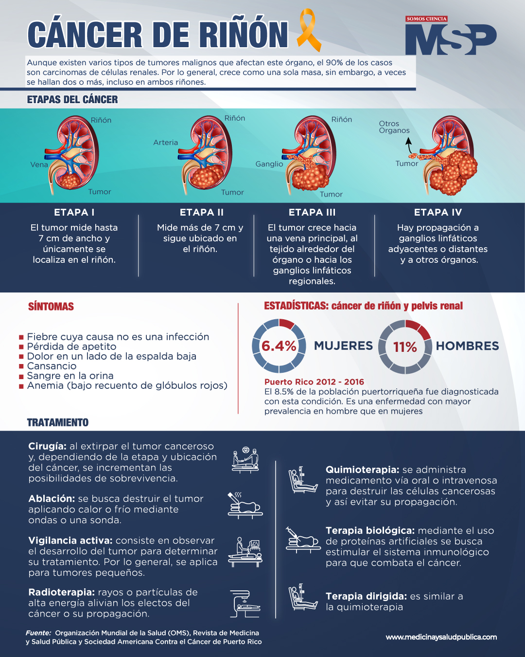 Revista Medicina y Salud Pública - #MSPOncología | La función de los # ...