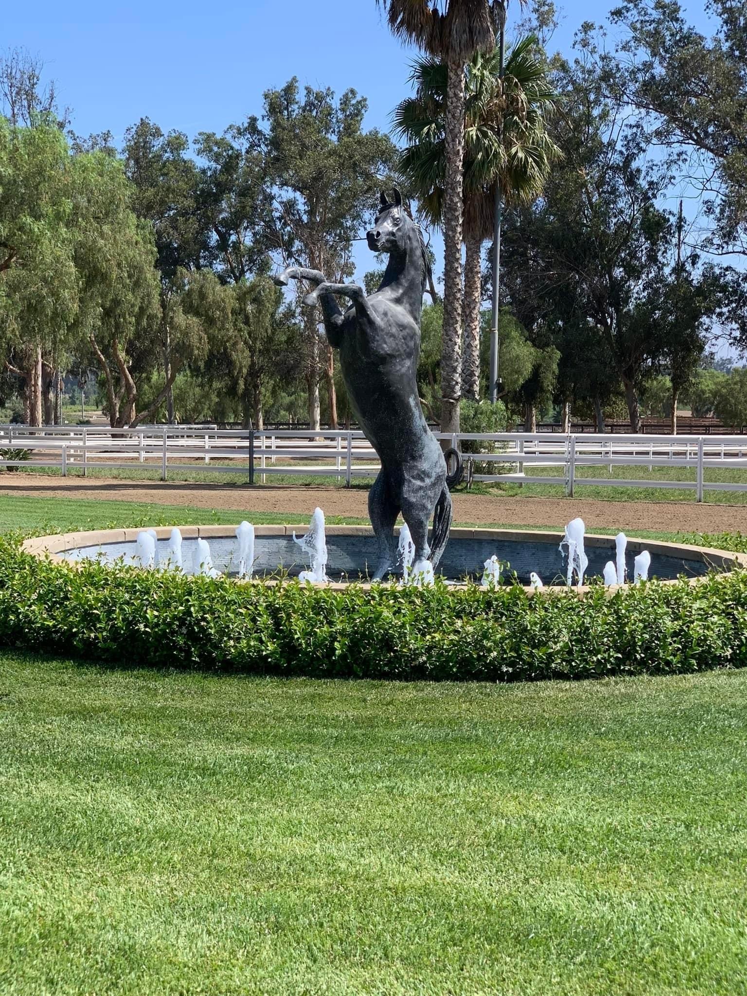 Southern... - Southern California Equestrian Center