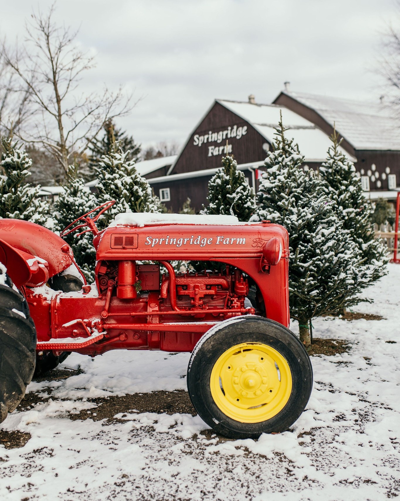 This holiday season give the gift of... - Springridge Farm | Facebook